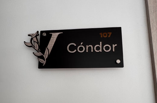 condor1